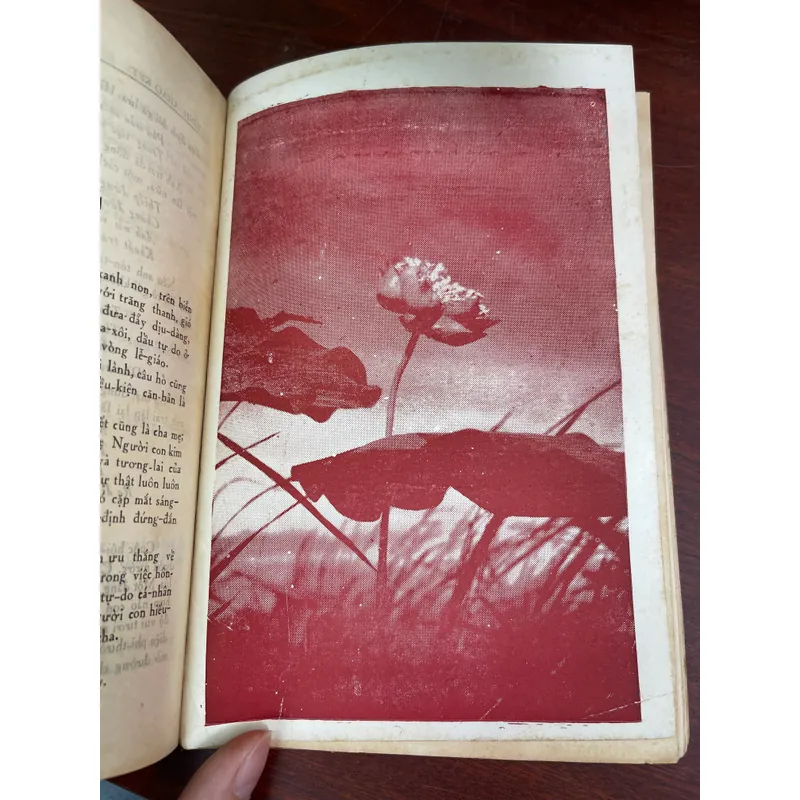 Ca dao giảng luận - Thuần Phong 703330