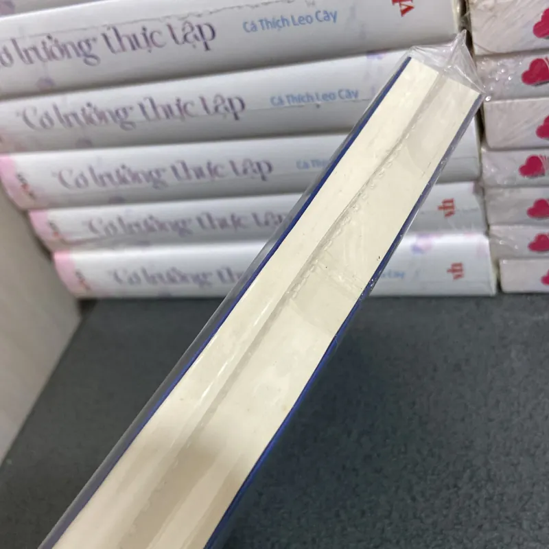 (Tiểu thuyết) - Con búp bê chắp vá - Irene Hannon 990981