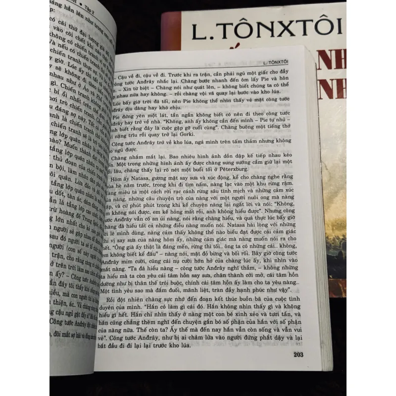 Chiến tranh và hoà bình (trọn bộ 2 tập) 1010522