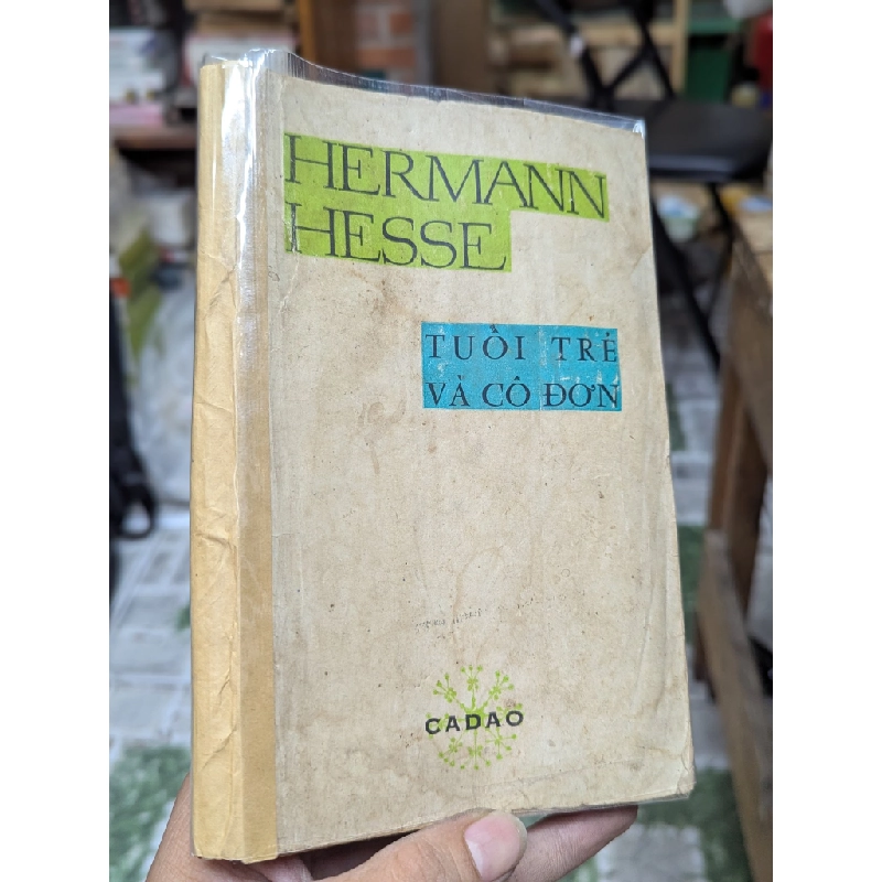TUỔI TRẺ VÀ CÔ ĐƠN - HERMANN HESSE 150175