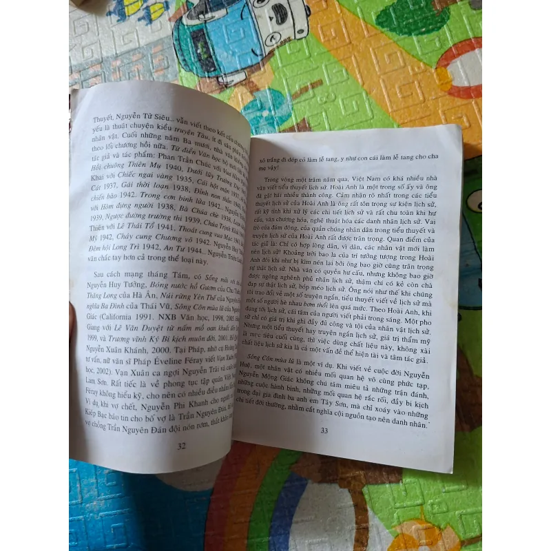 Tiểu thuyết lịch sử "Đuốc Lá Dừa 791774