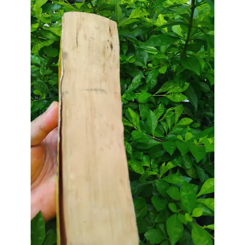 Fire in the lake của Frances Fitzgerrald  1001282