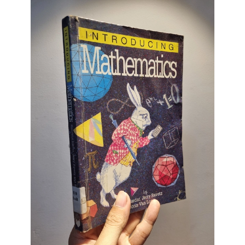 INTRODUCING MATHEMATICS - Ziauddin Sardar, Jerry Ravetz and Borin Van Loon 198625