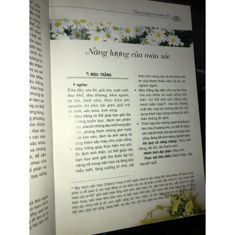 Vận mệnh đời người & hoa cảnh - Nguyễn Kim Dân 1034185