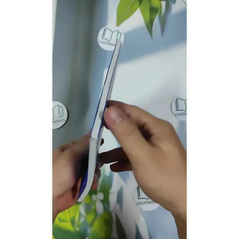 Bông Lục Bình - Mạnh Hà 798483