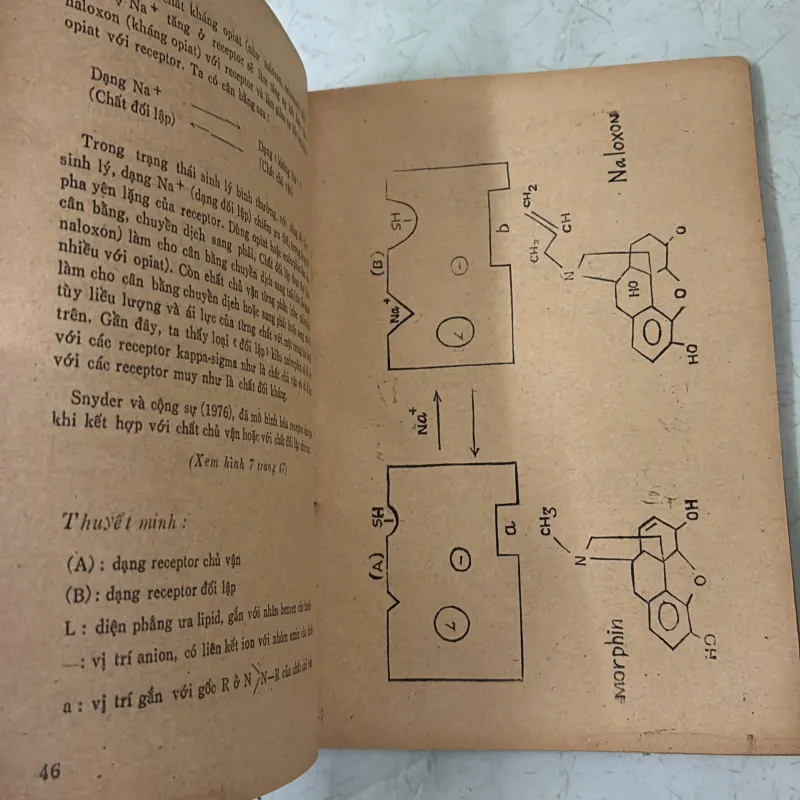 Chuyên đề Dược lý hoc 1037446