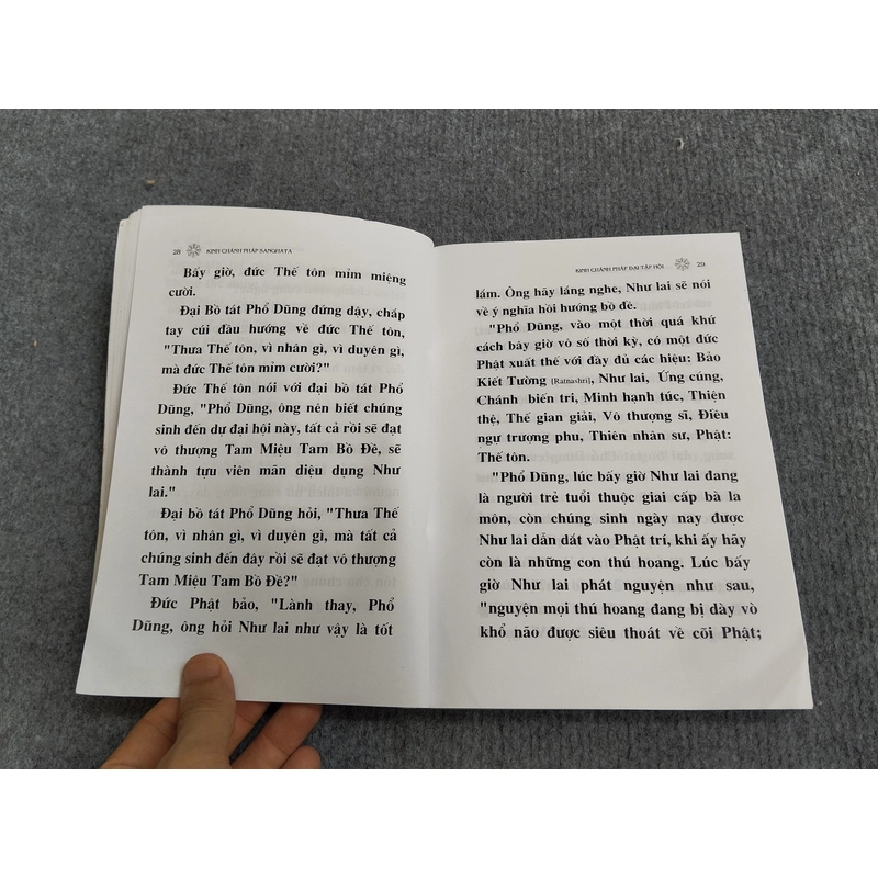 KINH CHÁNH PHÁP SANGHATA 494708
