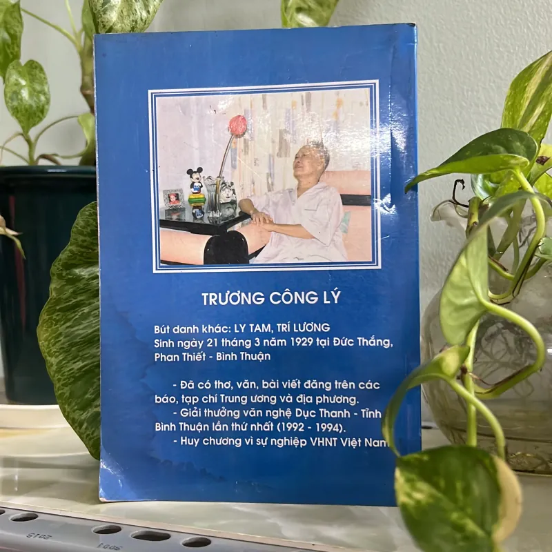 Miền quê bình thuận 746045