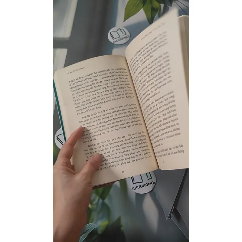 Hạnh Phúc Đến Từ Sự Biến Mất - Ajahn Brahm 961190