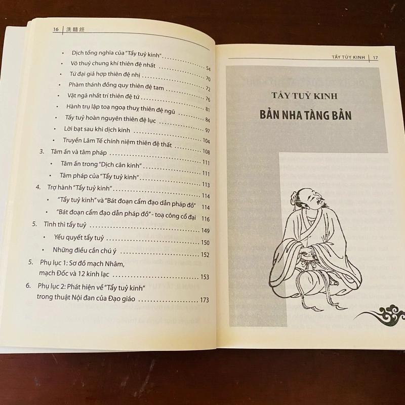 Tẩy tuỷ kinh  461262