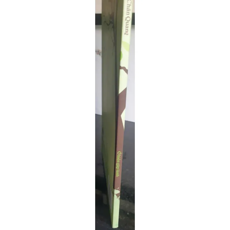 Sách Ở Hiền Gặp Lành - Chân Quang mới 90% 674682