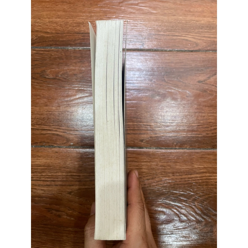 Tiểu thuyết lịch sử của Nguyễn Triệu Luật (t4) 468007
