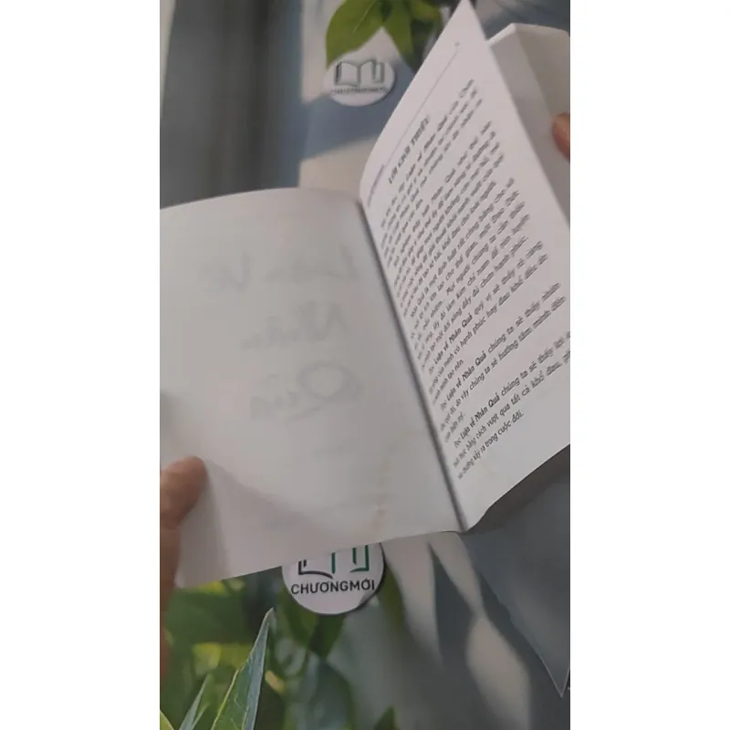 Luận Về Nhân Quả - Chân Quang 928517