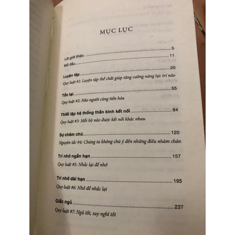 Lô sách John Medina: Luật trí não & Luật trí não dành cho trẻ 306928