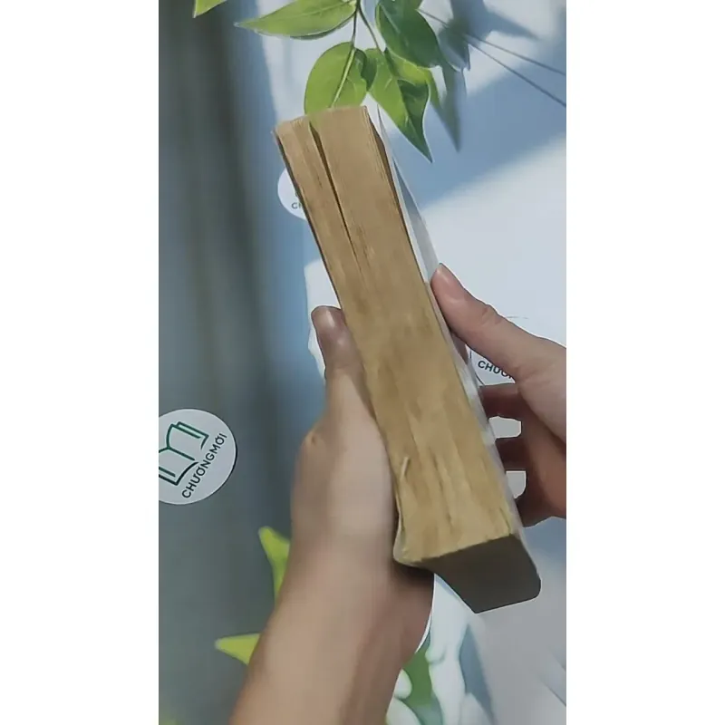 Thôi thúc - Catherine Coulter 695011