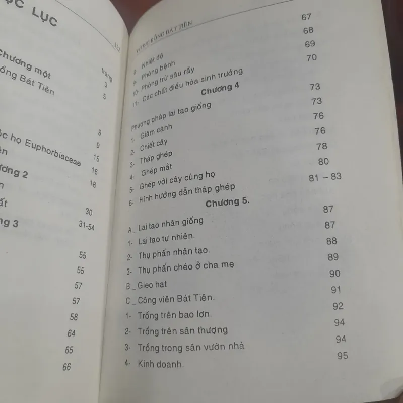 Huỳnh Văn Thới - XƯƠNG RỒNG BÁT TIÊN, kỹ thuật trồng, phương pháp lai tạo 737665