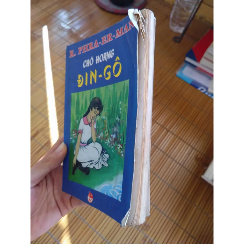 Chó hoang Dingo - Phraerman 695240