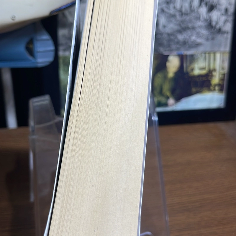The outsider Stephen King 494906