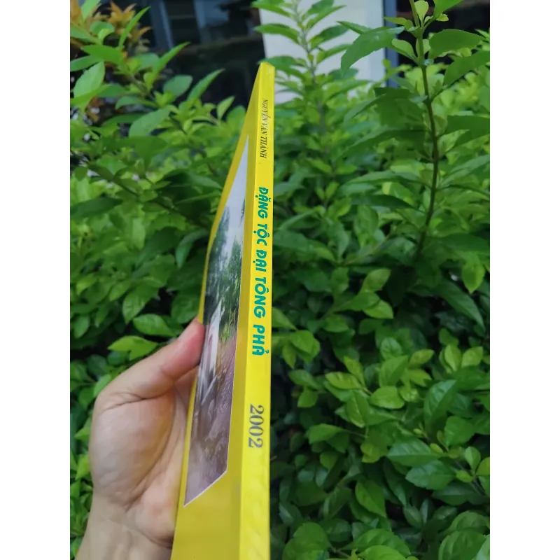 Đặng tộc đại tông phả ( phả chi trưởng họ Đặng )  981584