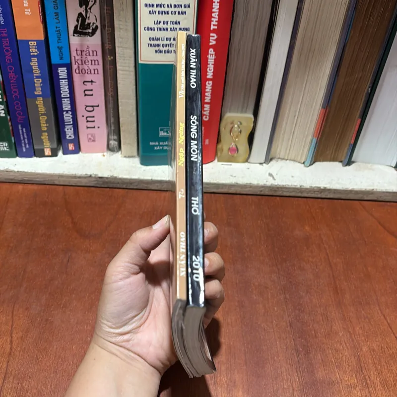 [Thủ Bút] - II Thơ: Ngập Ngừng - Sống Mòn - Xuân Thao - 2010, 2015 791496