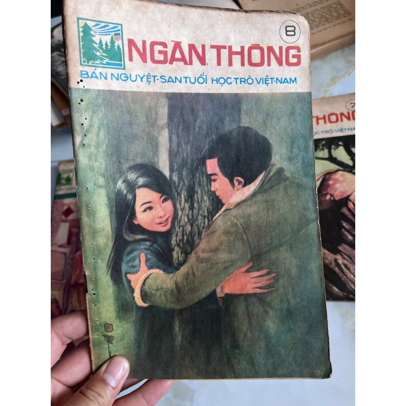 NGÀN THÔNG - VI VI 995495