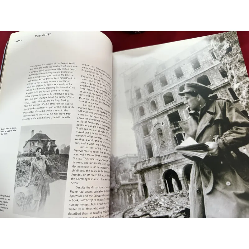 Sách ngoại văn tiếng Anh - The art of Gormenghast 926928