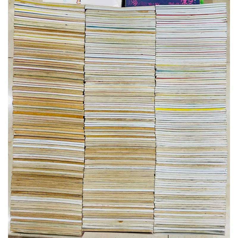 Trạng quỷnh lô 120 tập không trùng 926661