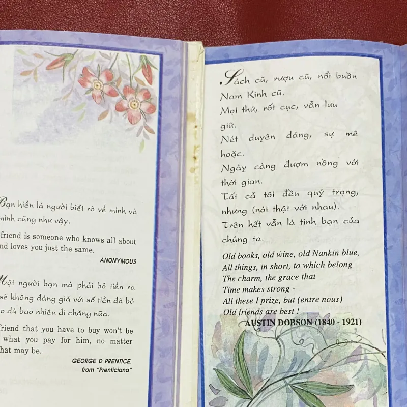 Friendship - Tình Bạn 1027458