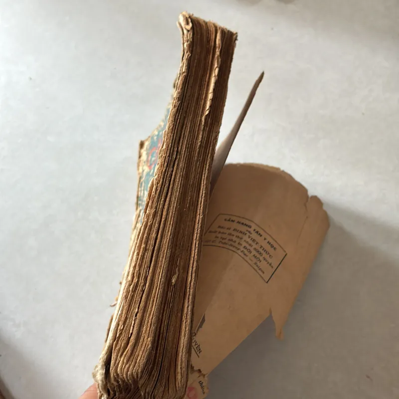 Cẩm nang Tân y học - Bs Đinh Việt Thức - 1972s 739316