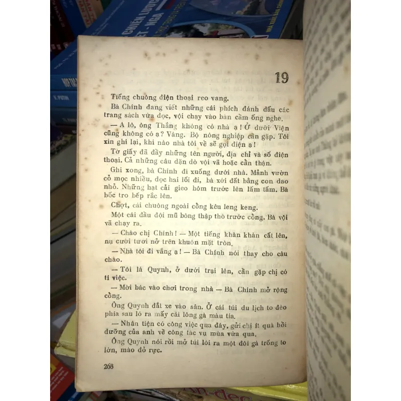 Hạt mùa sau - Nguyễn Thị Ngọc Tú 786756