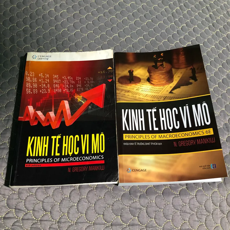 Sách Kinh tế vi mô và Kinh tế vĩ mô 561662
