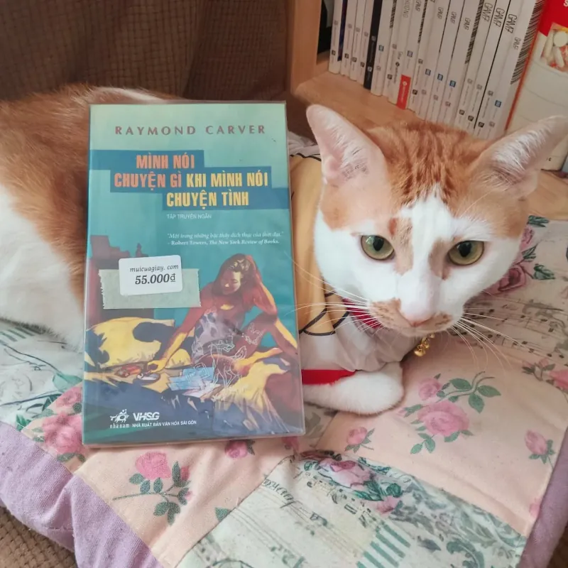 Mình nói chuyện gì khi mình nói chuyện tình - Raymond Carver 925705