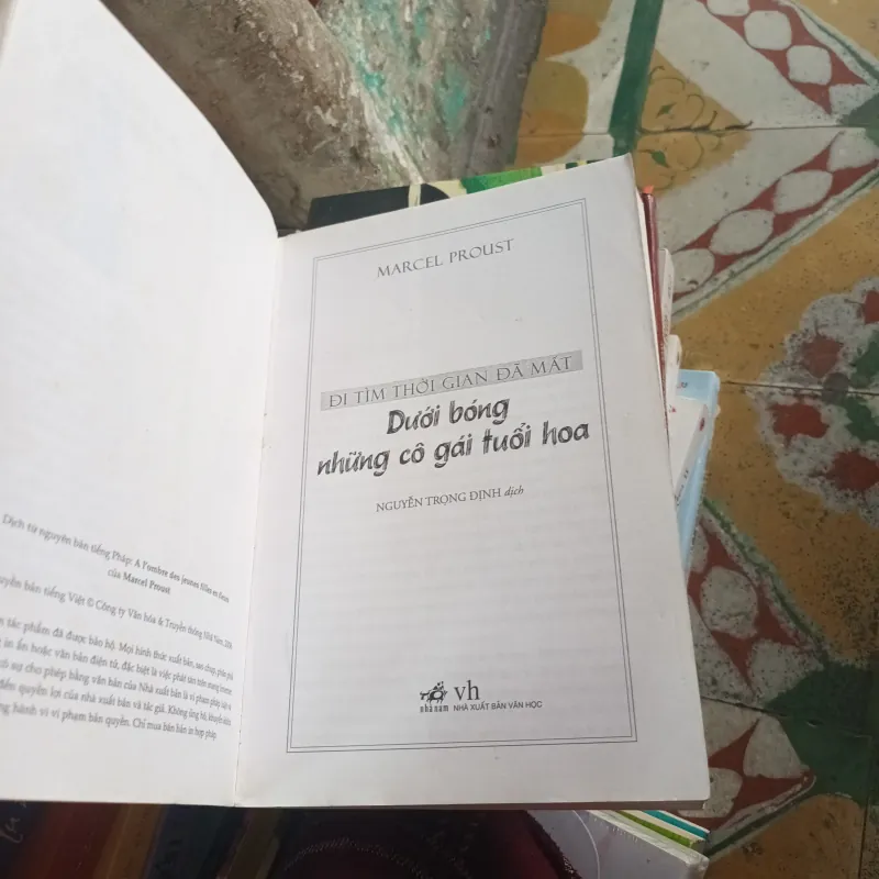 Dưới Bóng Những Cô Gái Tuổi Hoa- Marcel Proust 749595