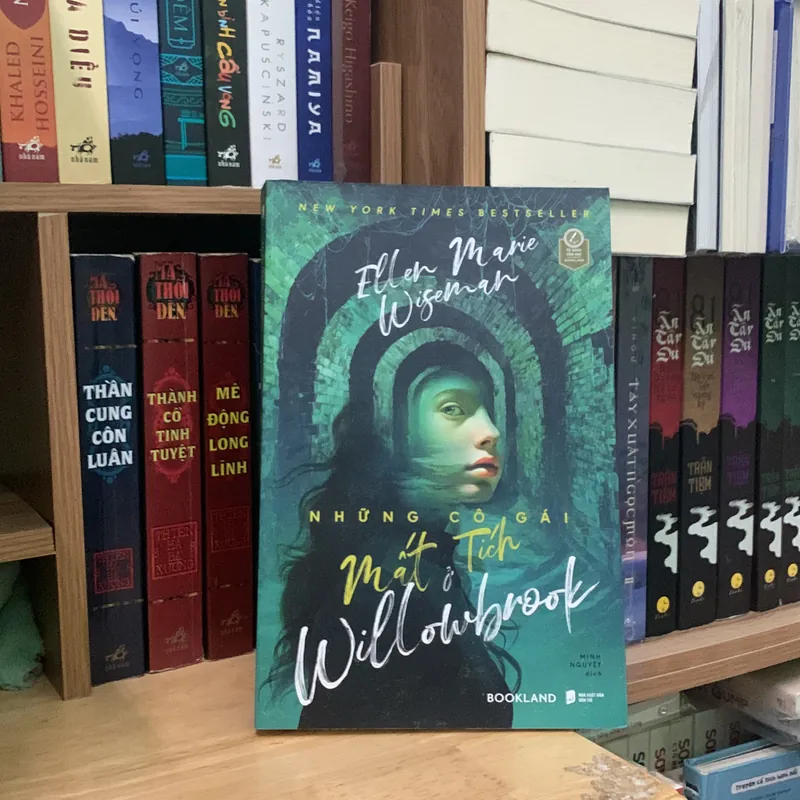 Những cô gái mất tích ở Willowbrook - Ellen Marie Wiseman 575418