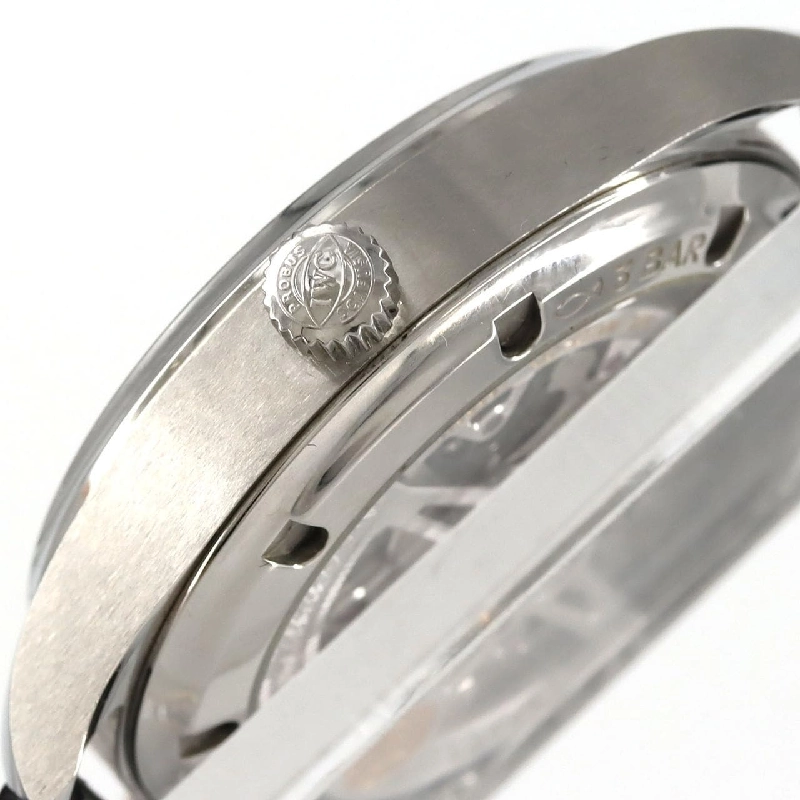 IWC Portugieser Automatic 40 IW358305 SS Đồng hồ tự động - Hàng hiệu Chính hãng 880354