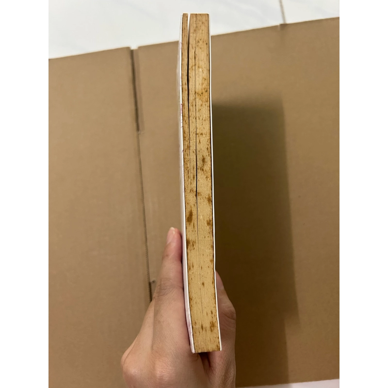 Nơi những cơn gió dừng chân 518668