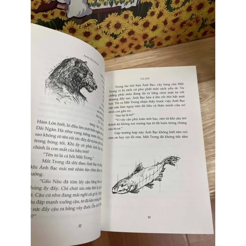 Cá Hồi - Ahn Do-hyun 1010699