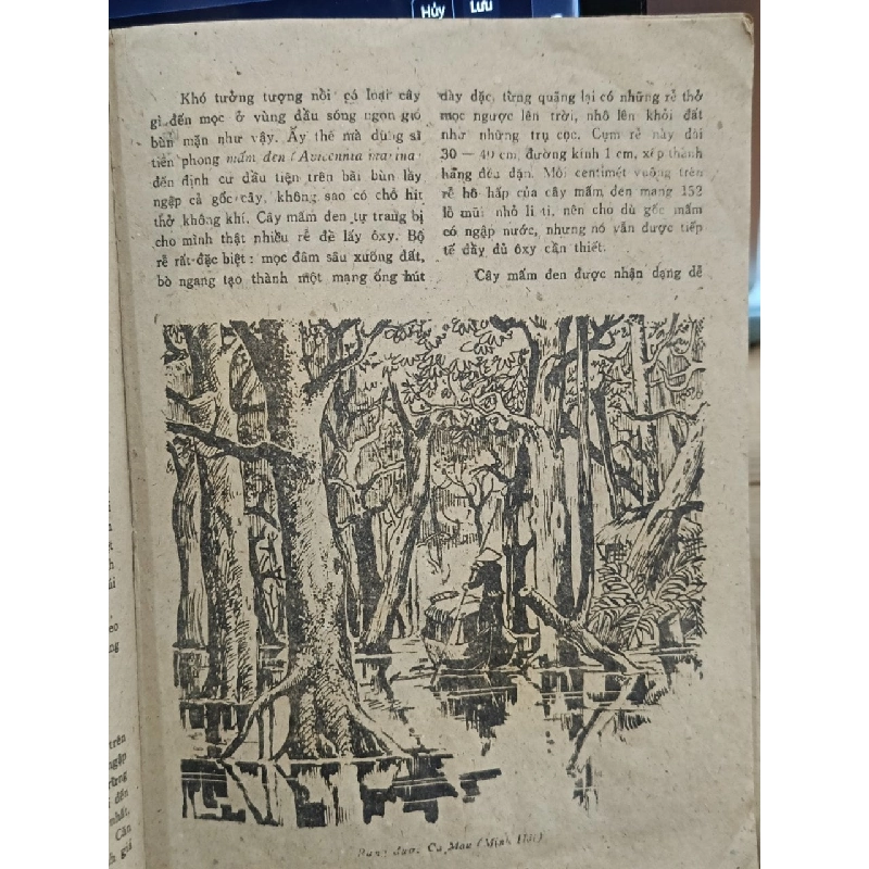 Đến với rừng - Nhiều tác giả 776236