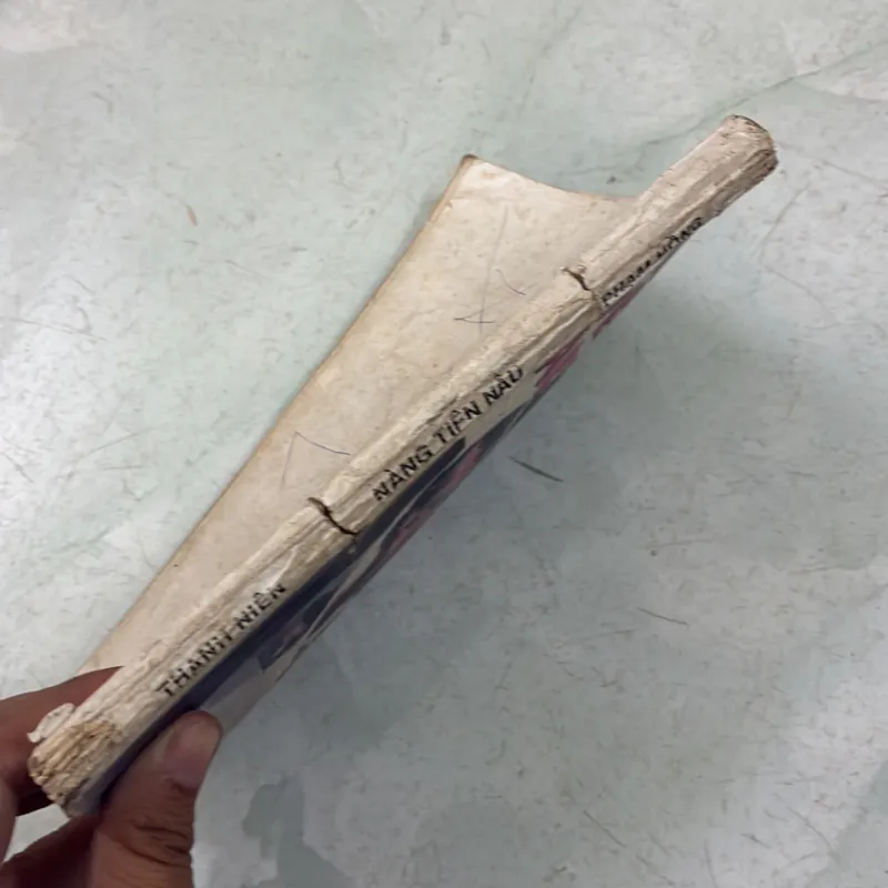 Nàng tiên dâu 1031030