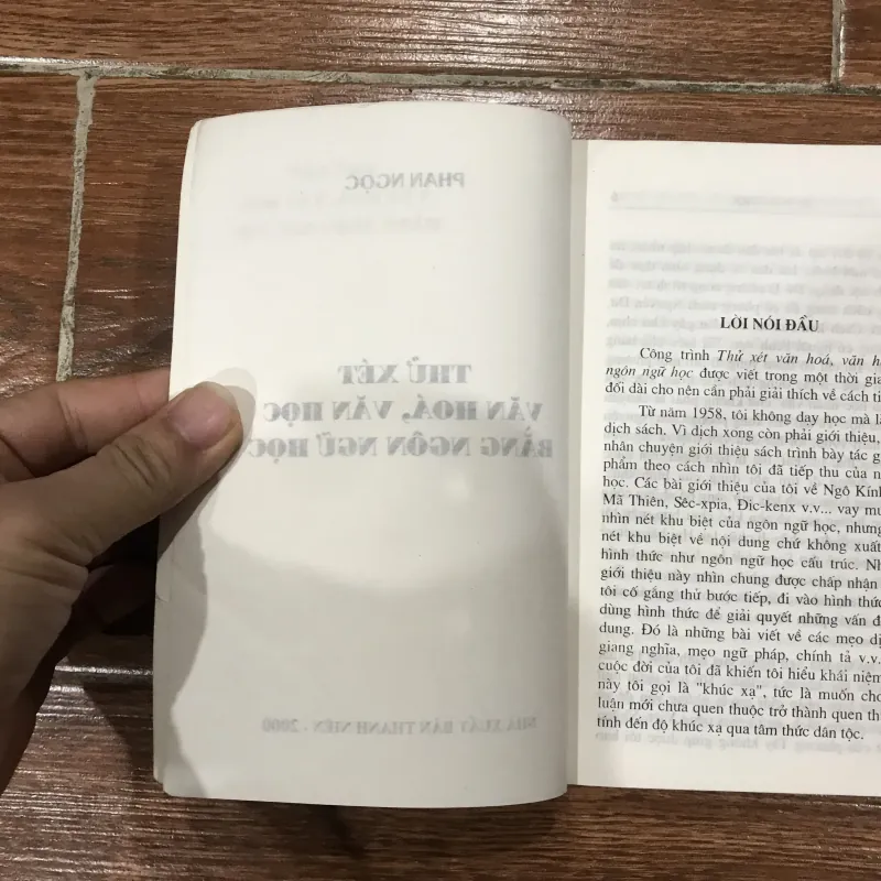 Thử xét Văn hoá, văn học bằng ngôn ngữ học - Phan Ngọc (6) 761148