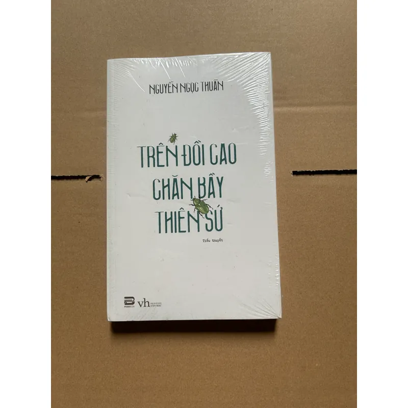 Trên đồi cao chăn bầy thiên sứ 603251