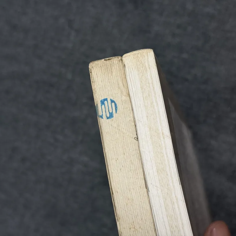 Thắm sắc hoa đào - Vương An Ức (tác giả Trường hận ca) 791194