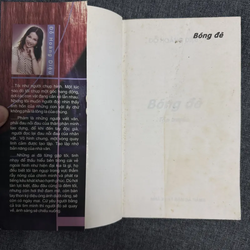 Bóng đè - Đỗ Hoàng Diệu 925435