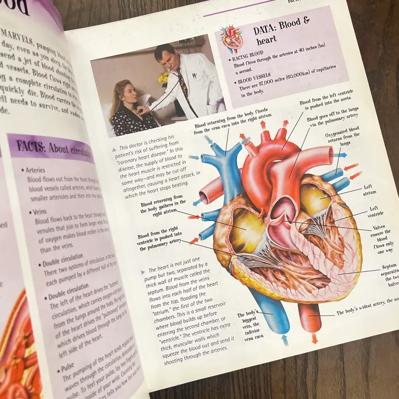 ✨𝑻𝒉𝒆 𝑩𝒊𝒈 𝑩𝒐𝒐𝒌 𝒐𝒇 𝑲𝒏𝒐𝒘𝒍𝒆𝒅𝒈𝒆✨ 697523