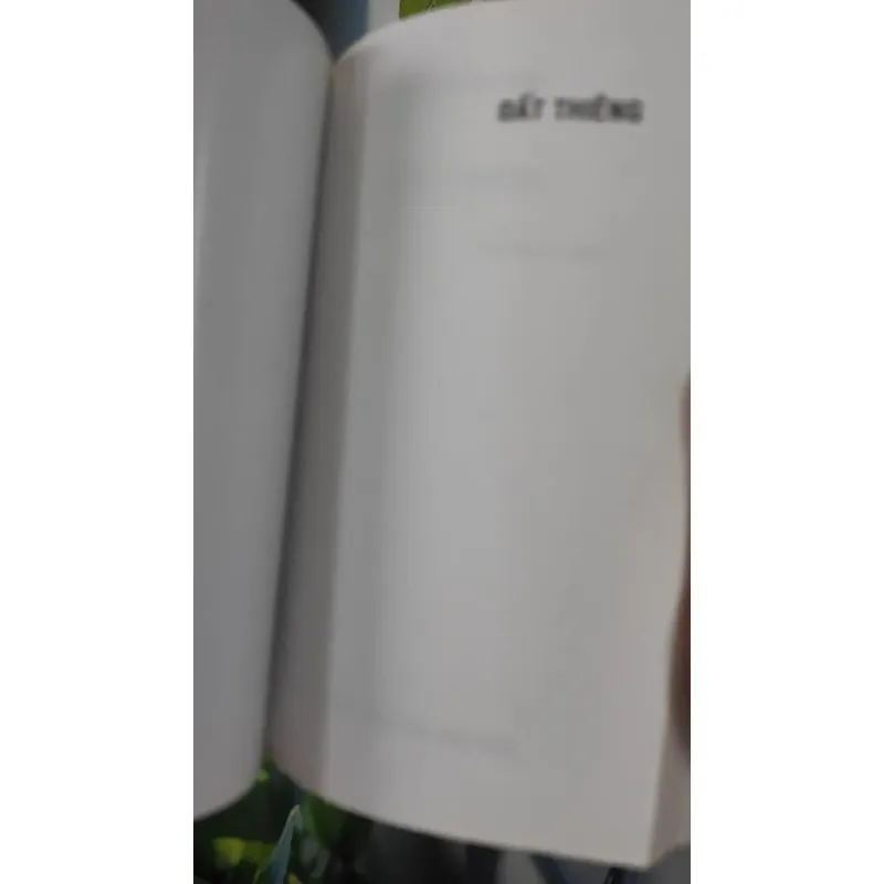 Đất Thiêng - Vũ Thiên Khải 798359