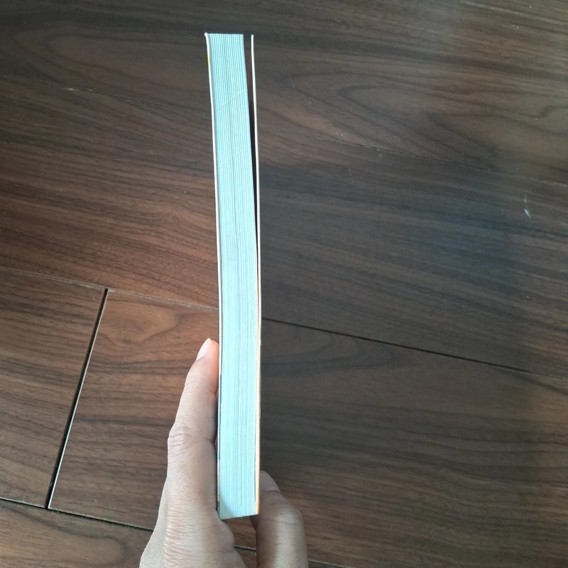Hồi ức tuổi thơ 517206