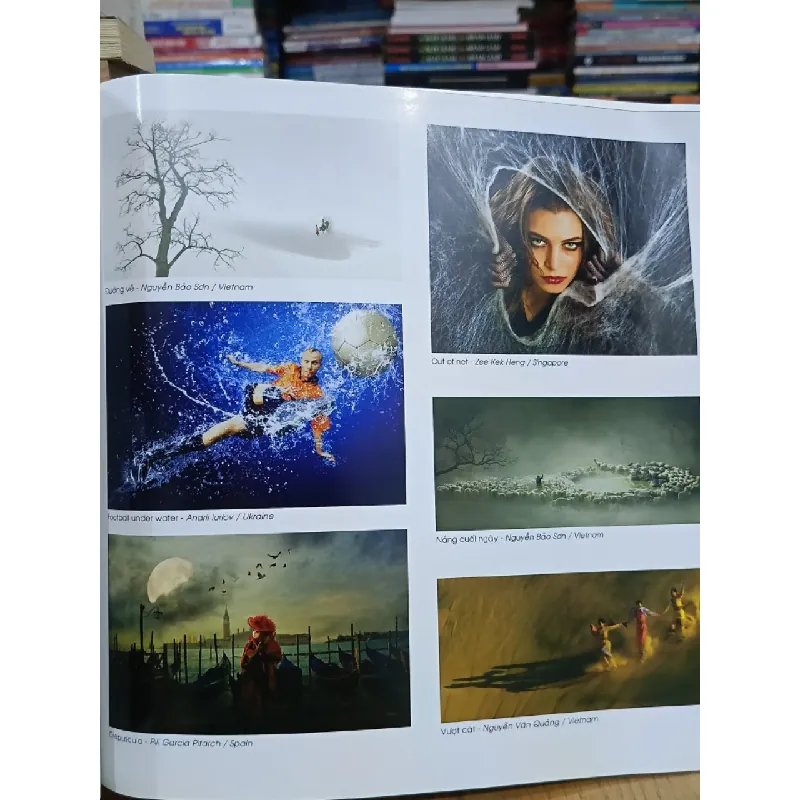 Cuộc thi ảnh quốc tế câu lạc bộ nhiếp ảnh Gia Định lần III 2012 693431