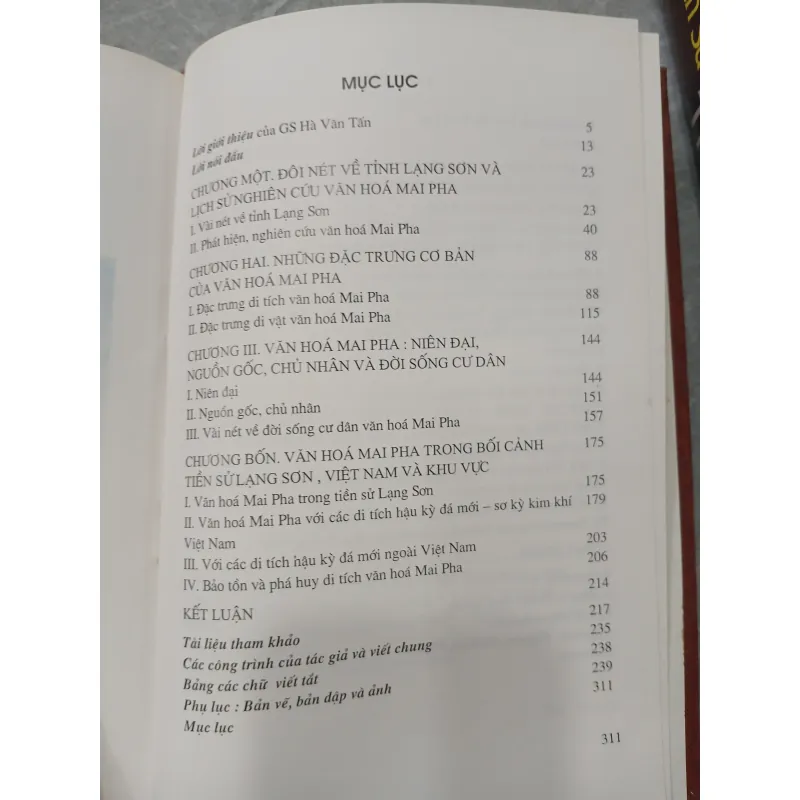 VĂN HÓA MAI PHA - NGUYỄN CƯỜNG 788706