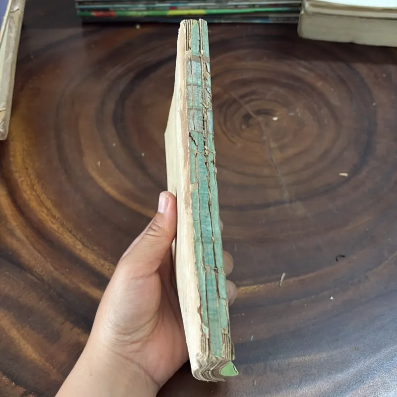 II Sách Kỹ Thuật: Tự Làm Lấy Mười Thùng Loa Hifi - PIERRE CHAUVIGNY - 1987 996996