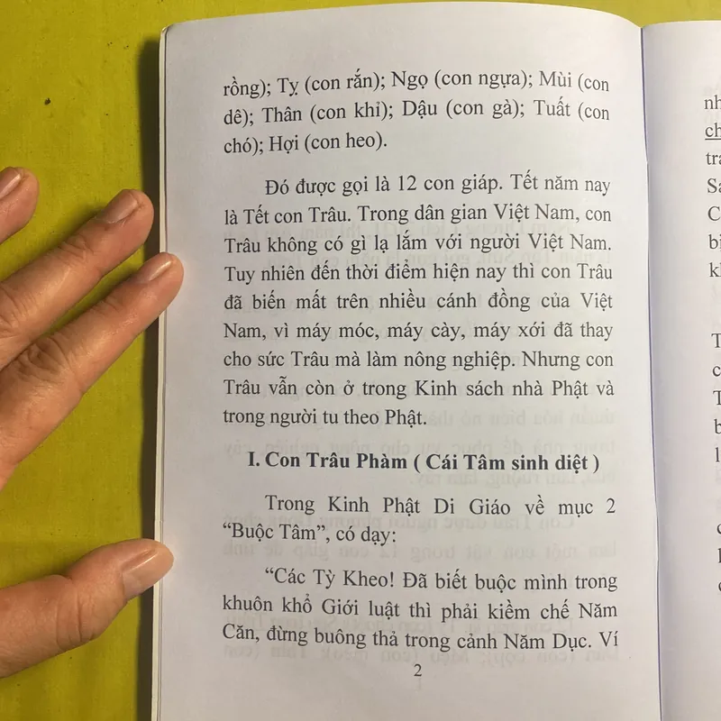 Con Trâu và Cái Tâm (Bí Lục Theo Trâu) - HT Đắc Huyền - Thích Như Phước Tú 630515